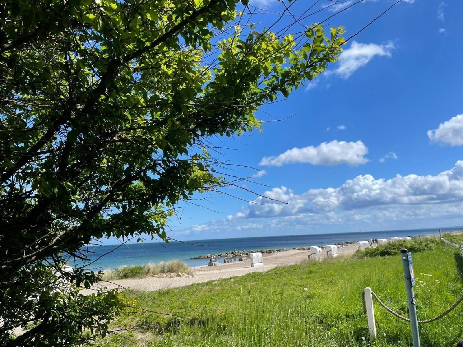 Ferien Am Strand, Urlaub An Der Ostsee Ferienwohnung Am Strand In Der Naehe Der Schlei, Umgebung Von Kappeln U Damp Brodersby-Goltoft Dış mekan fotoğraf
