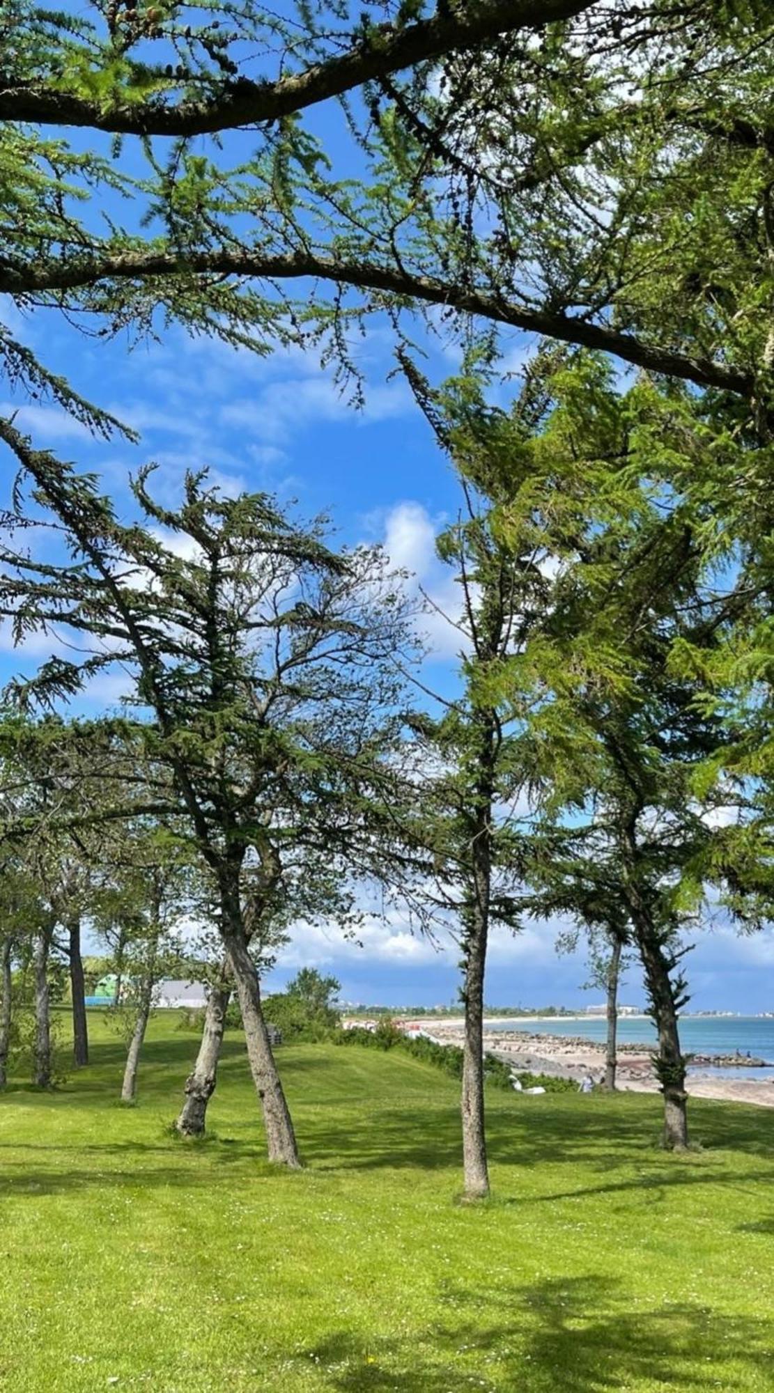 Ferien Am Strand, Urlaub An Der Ostsee Ferienwohnung Am Strand In Der Naehe Der Schlei, Umgebung Von Kappeln U Damp Brodersby-Goltoft Dış mekan fotoğraf